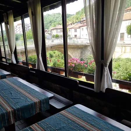 Guest house тони