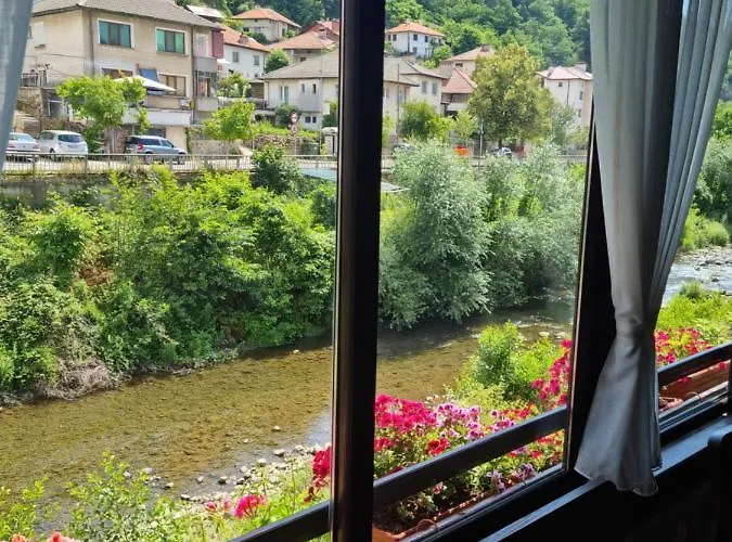 тони Guest house 3*