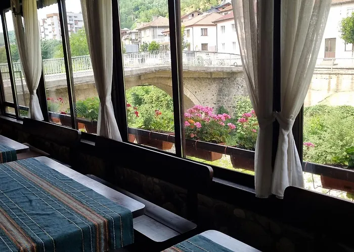 Guest house тони